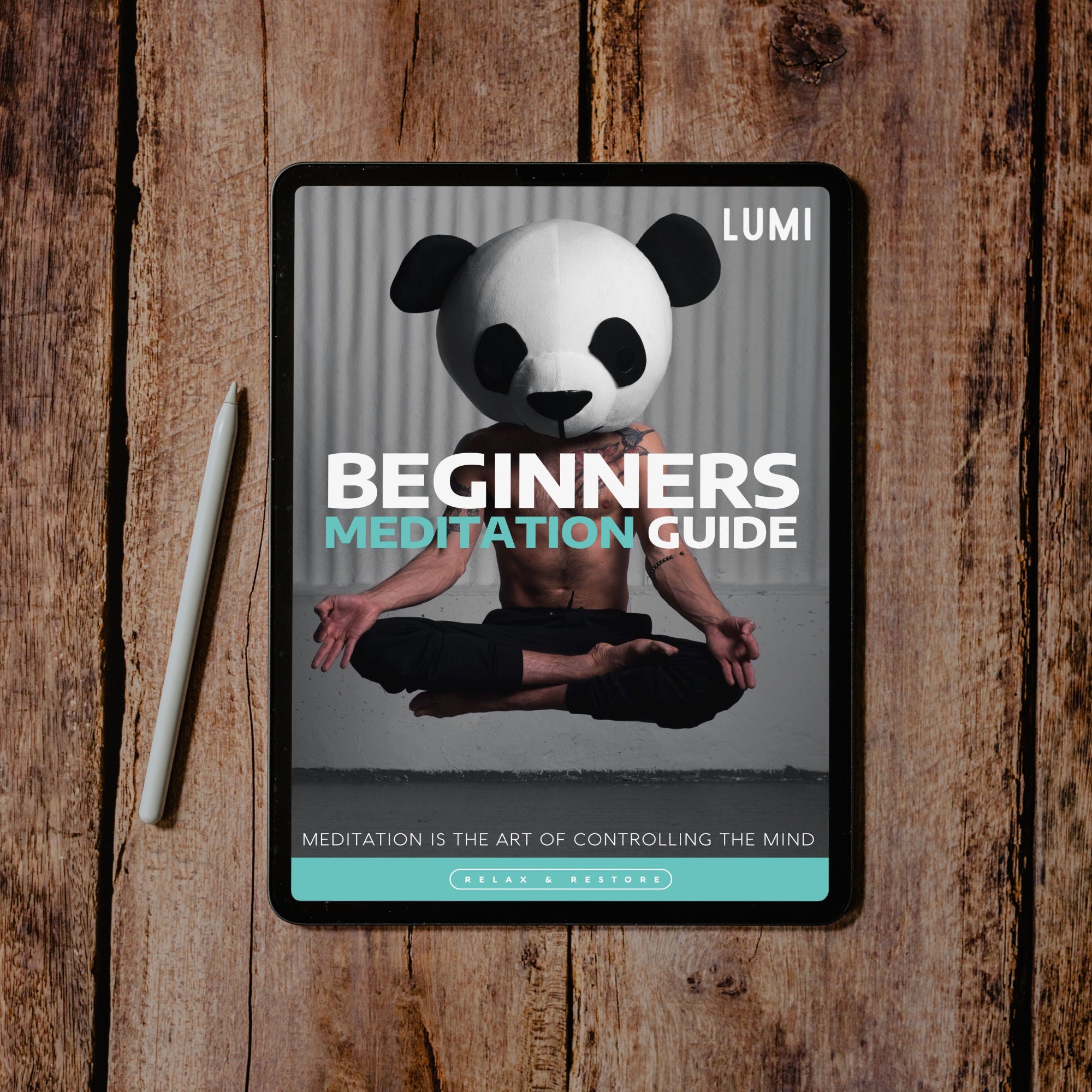Lumi Meditation Guide on iPad scene with iPencil